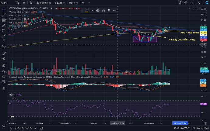 Screen Shot 2024-08-23 at 15.00.16