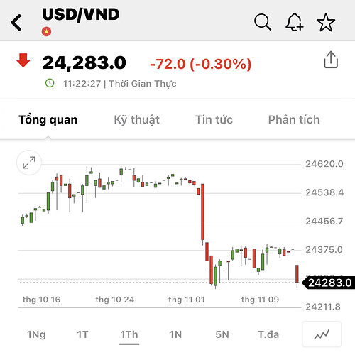 undefined-1700027685747.jpg|1284 x 1284