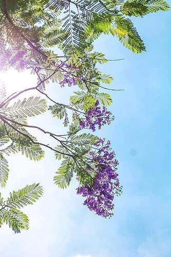 FB_IMG_1684298831464