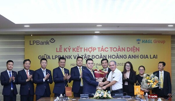 Hợp Tác Lpb - Cổ phiếu HAG (Trade Việt Stock)