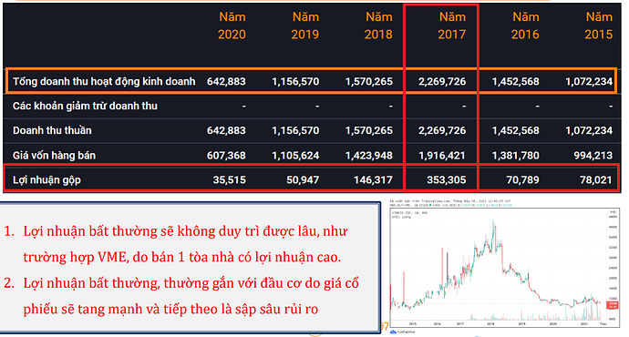 VME lợi nhuận đột biến không bền vững