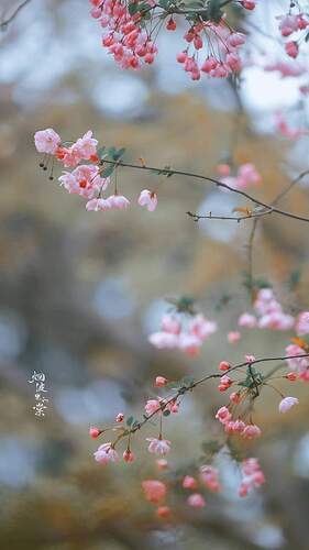 FB_IMG_1671931134534