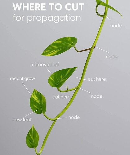 FB_IMG_1758533389032