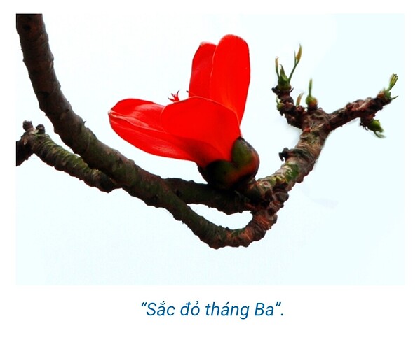 Screenshot_2023-03-01-08-38-25-681-edit_com.android.chrome