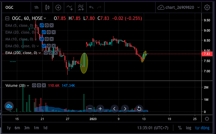 Screen Shot 2023-01-13 at 13.35.01