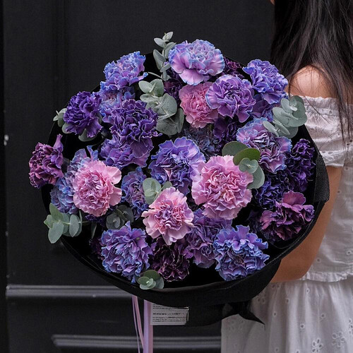 557639520_782285731449061_44879957411002041_n