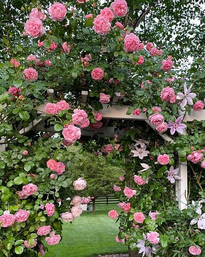 FB_IMG_1757324351330