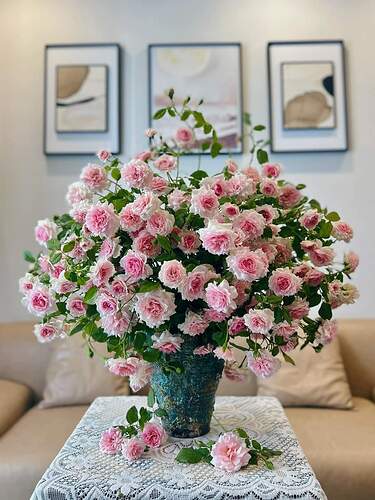 FB_IMG_1730706581116