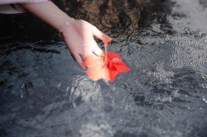 FB_IMG_1750071341460