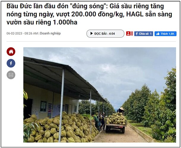 HAG có thực sự là cơ hội đầu tư hấp dẫn trong năm 2023 hay không?