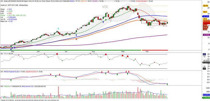 IMG_1698203512458_1698207224160