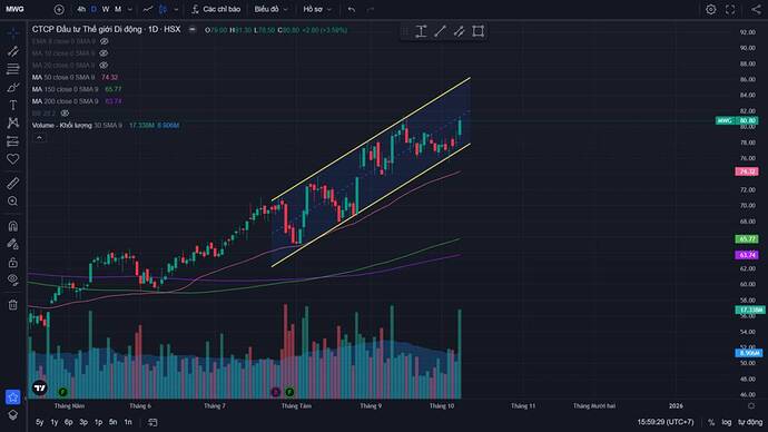 MWG: HÀNH TRÌNH TỪ “TÁI CẤU TRÚC” ĐẾN “TĂNG TRƯỞNG LỢI NHUẬN ĐỘT PHÁ” – ĐIỂM NHẤN ĐẦU TƯ GIAI ĐOẠN TIẾP ...
