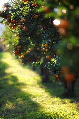 FB_IMG_1743856015639