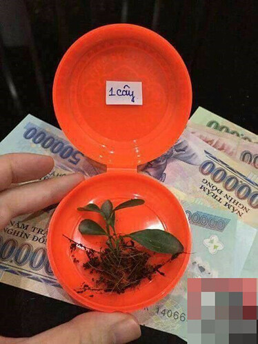 527a61a2174cb912e05d