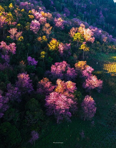 FB_IMG_1768494912695