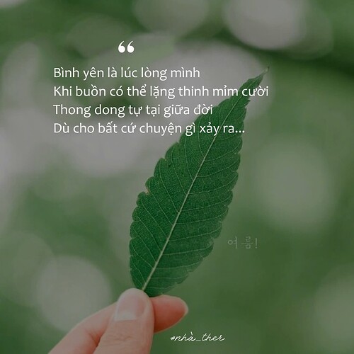 FB_IMG_1755163430279