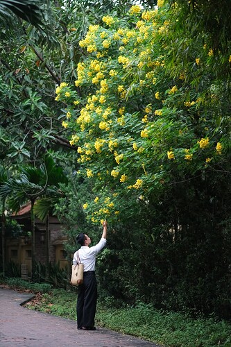 FB_IMG_1732982155051