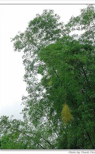 Screenshot_20230511-124038~2