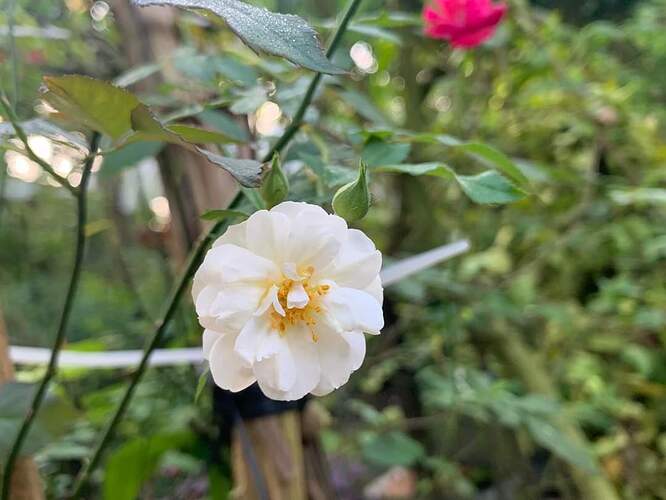 FB_IMG_1731736645749