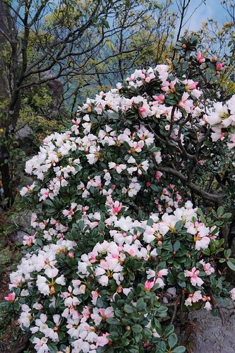 FB_IMG_1744017458909