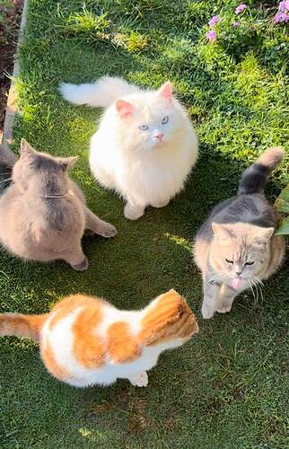 FB_IMG_1731600695292