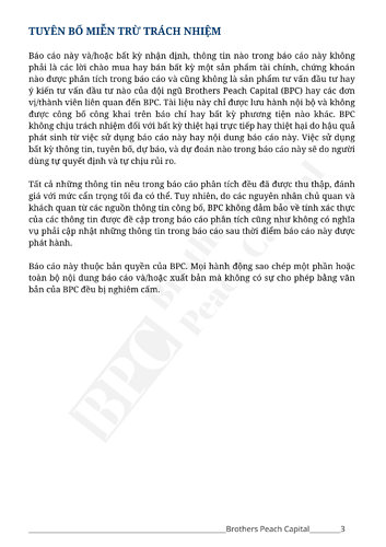 BPC - Báo cáo phân tích DPM (2)