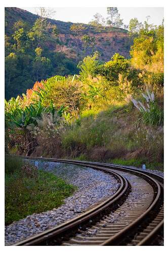 FB_IMG_1731593804865