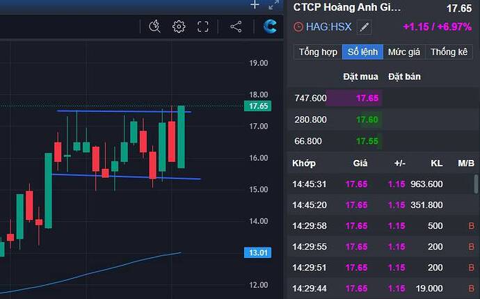 HAG "tái sinh" - Cú hích ngoạn mục từ đống tro tàn!!. Từ nợ 32.000 tỷ, tuyên bố mất thanh khoản vào ...