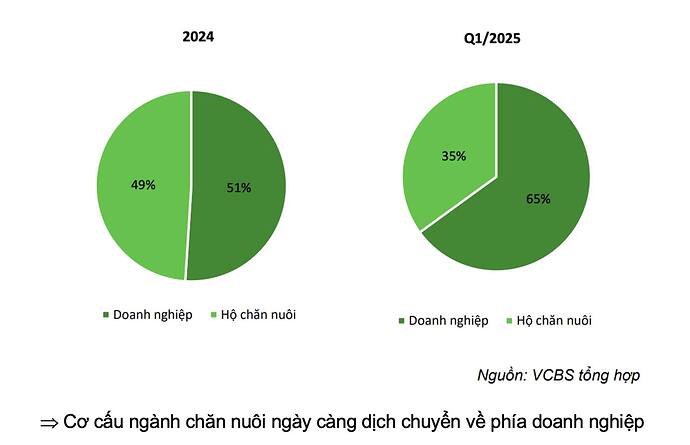 504894864_1617852698908703_4439973477444525750_n