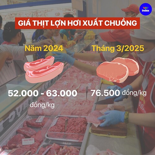 505368618_1135514555266651_4532094318617777821_n