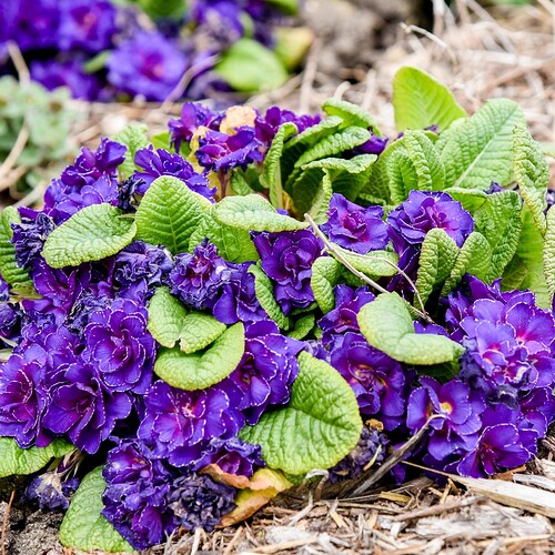 FB_IMG_1758613698177