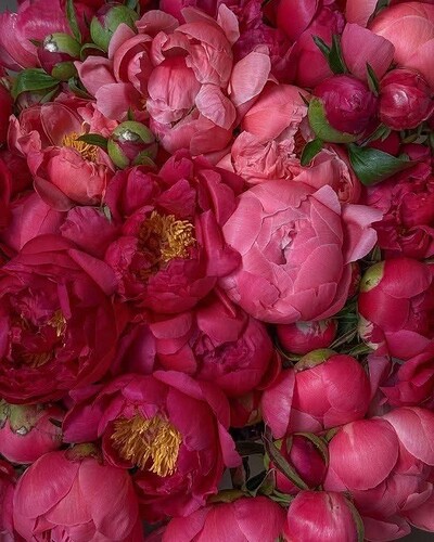 FB_IMG_1773329073637