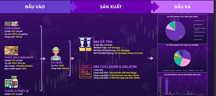 CỔ PHIẾU ANV: GIẢI MÃ CÂU CHUYỆN TĂNG TRƯỞNG NGOẠN MỤC NĂM 2025. 1. "Cơn Bão Hoàn Hảo" Mang Tên Lợi ...