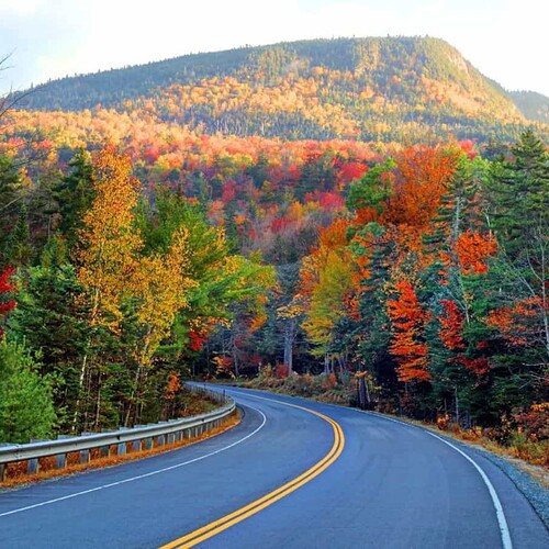 FB_IMG_1759724658834