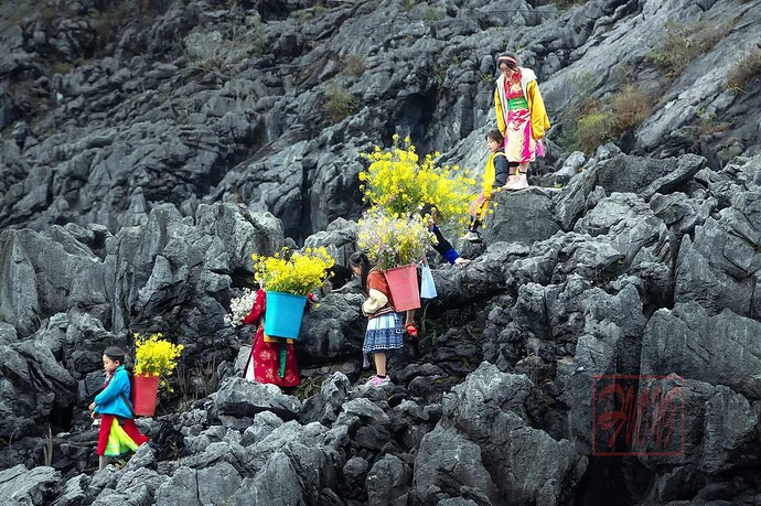 35fe7176-449e-4dff-9a94-62471d8f6163-1_all_18683