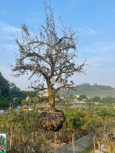 z5105841285485_69d4946223a92dc81f5fa3bde823f582