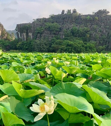 FB_IMG_1748436084534