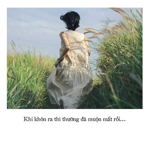 FB_IMG_1732338658380