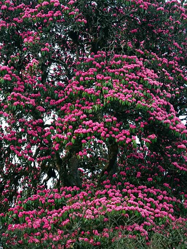 FB_IMG_1740465386269