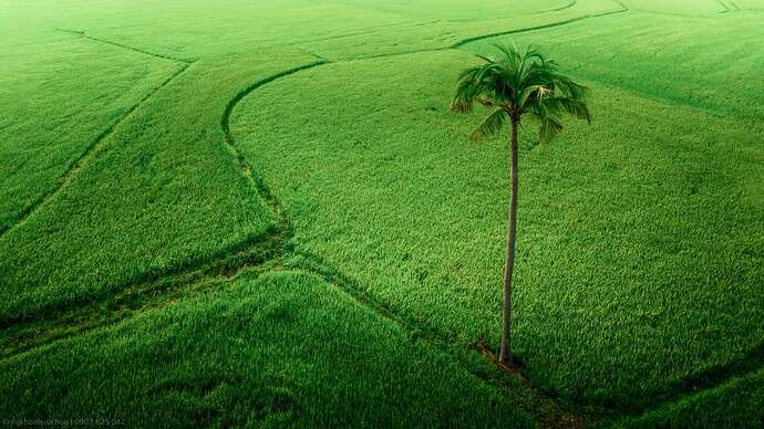 FB_IMG_1721994470781