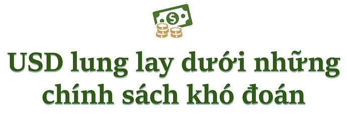 Đồng USD trượt xuống mức thấp nhất 3 năm, ông Trump đang làm lung lay vị thế thống trị toàn cầu của đồng bạc xanh?- Ảnh 7.