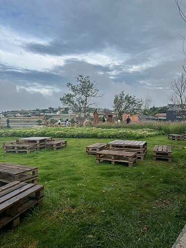 f62d2b4bd71c74422d0d