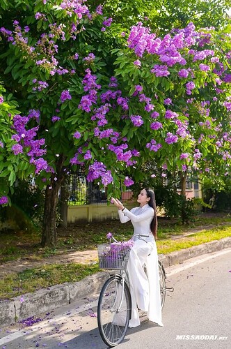 FB_IMG_1747561080464