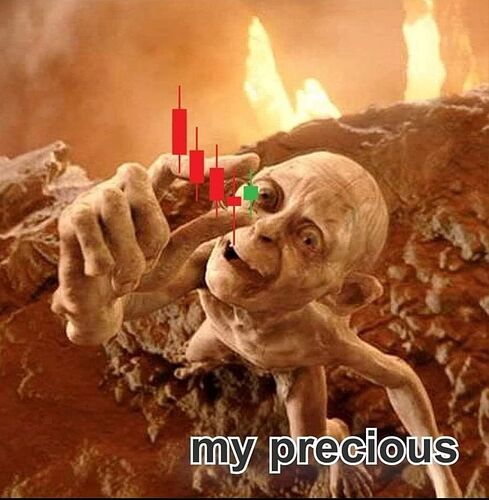 340846005_878675676563982_1851391501487410984_n