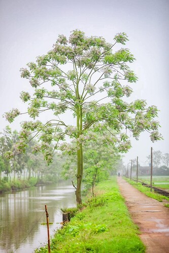 FB_IMG_1743262119560