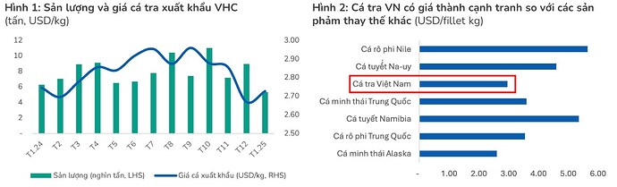 VHC - Cá tra vượt vũ môn