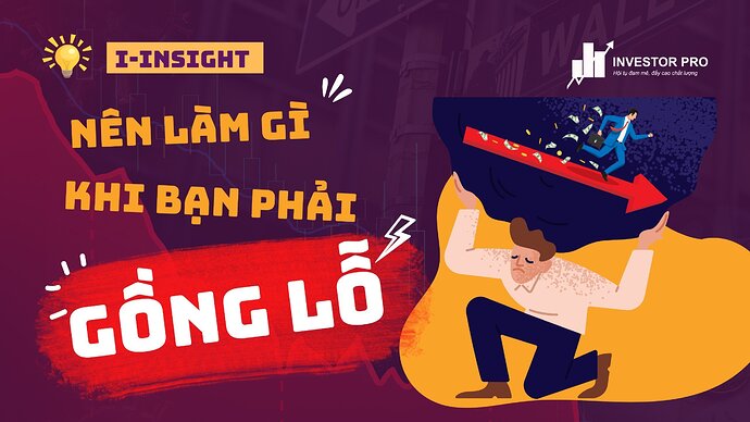 d13868311bd9cc8795c8