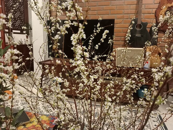 inbound442224640952319174