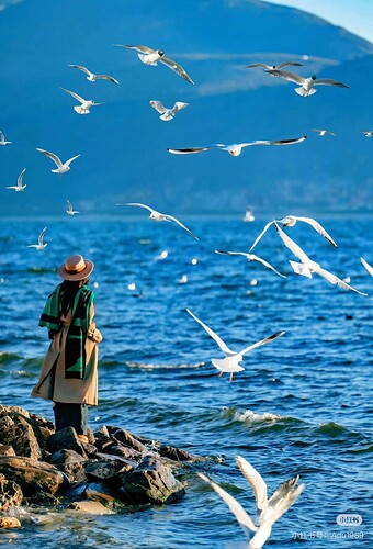 FB_IMG_1734358395035