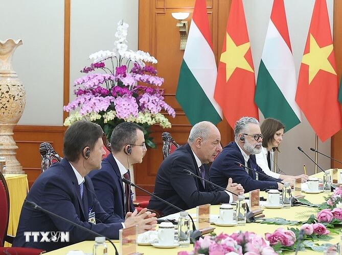 Tổng thống Hungary Sulyok Tamas phát biểu. (Ảnh: Thống Nhất/TTXVN)